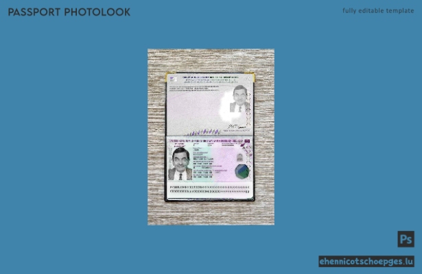 Vorschau des Passfotos für das Vereinigte Königreich (2020 bis heute)